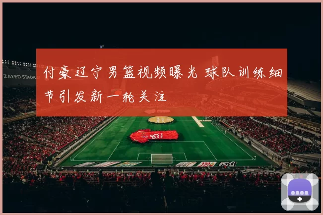 付豪辽宁男篮视频曝光 球队训练细节引发新一轮关注